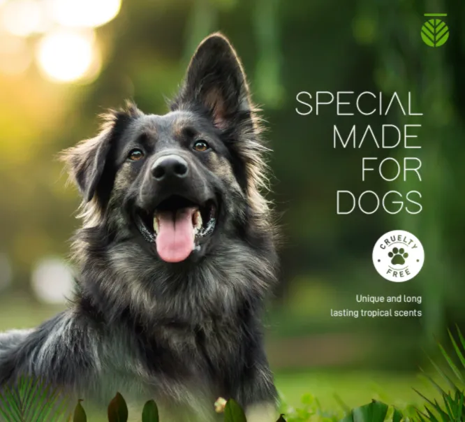 AMAZONIA BALM FOR PAWS AND NOSE 30G