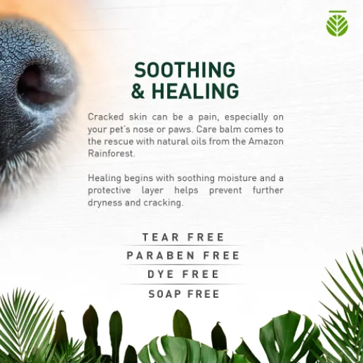 AMAZONIA BALM FOR PAWS AND NOSE 30G