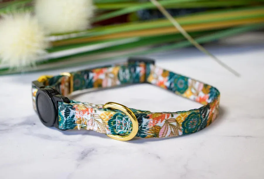 Breakaway Cat Collar