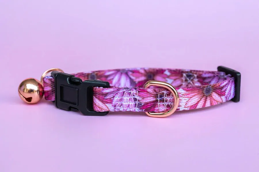 Breakaway Cat Collar