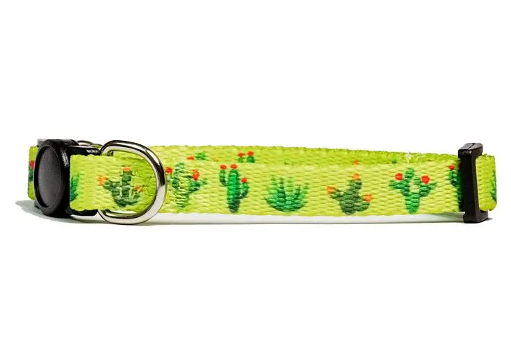Breakaway Cat Collar