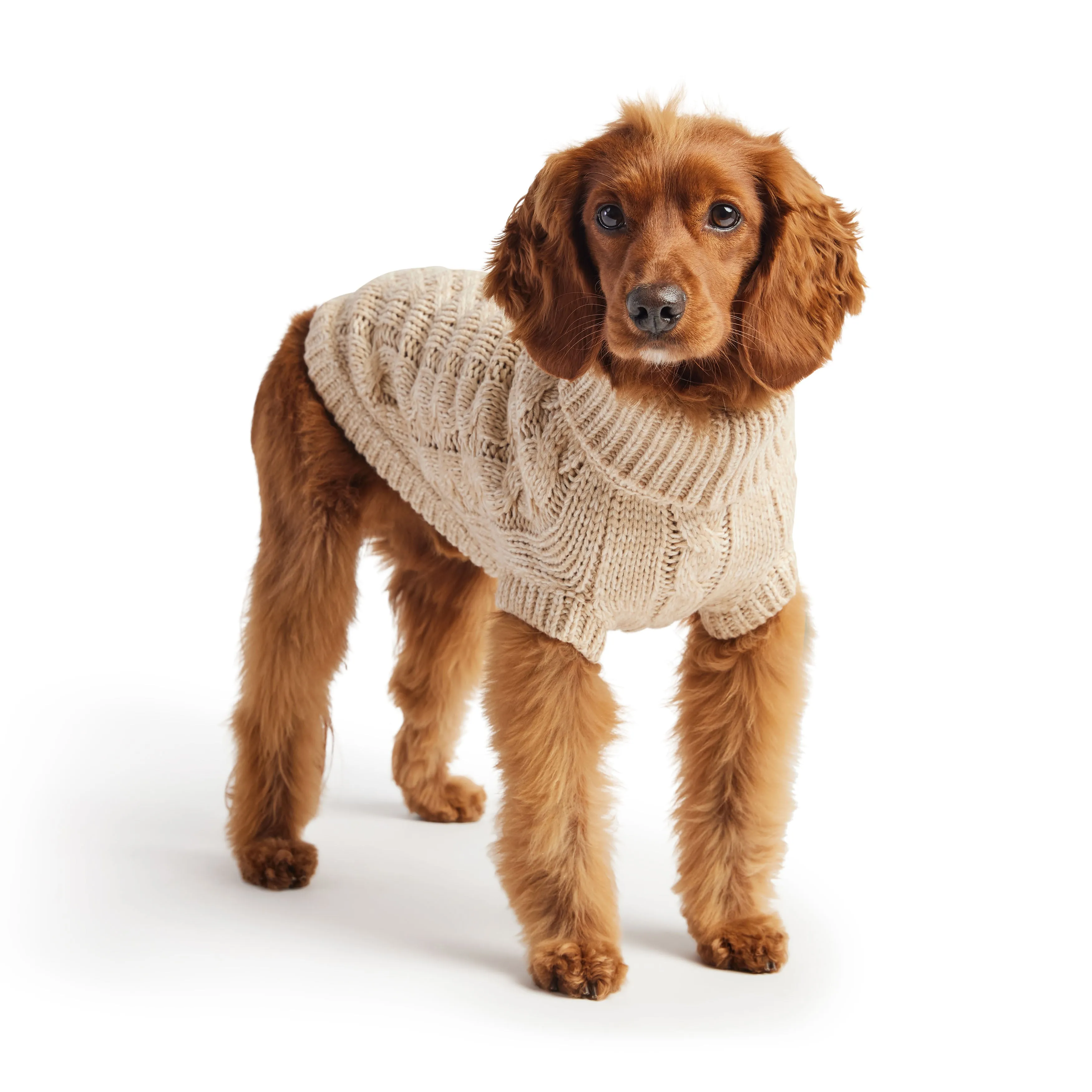 Chalet Dog Winter Sweater