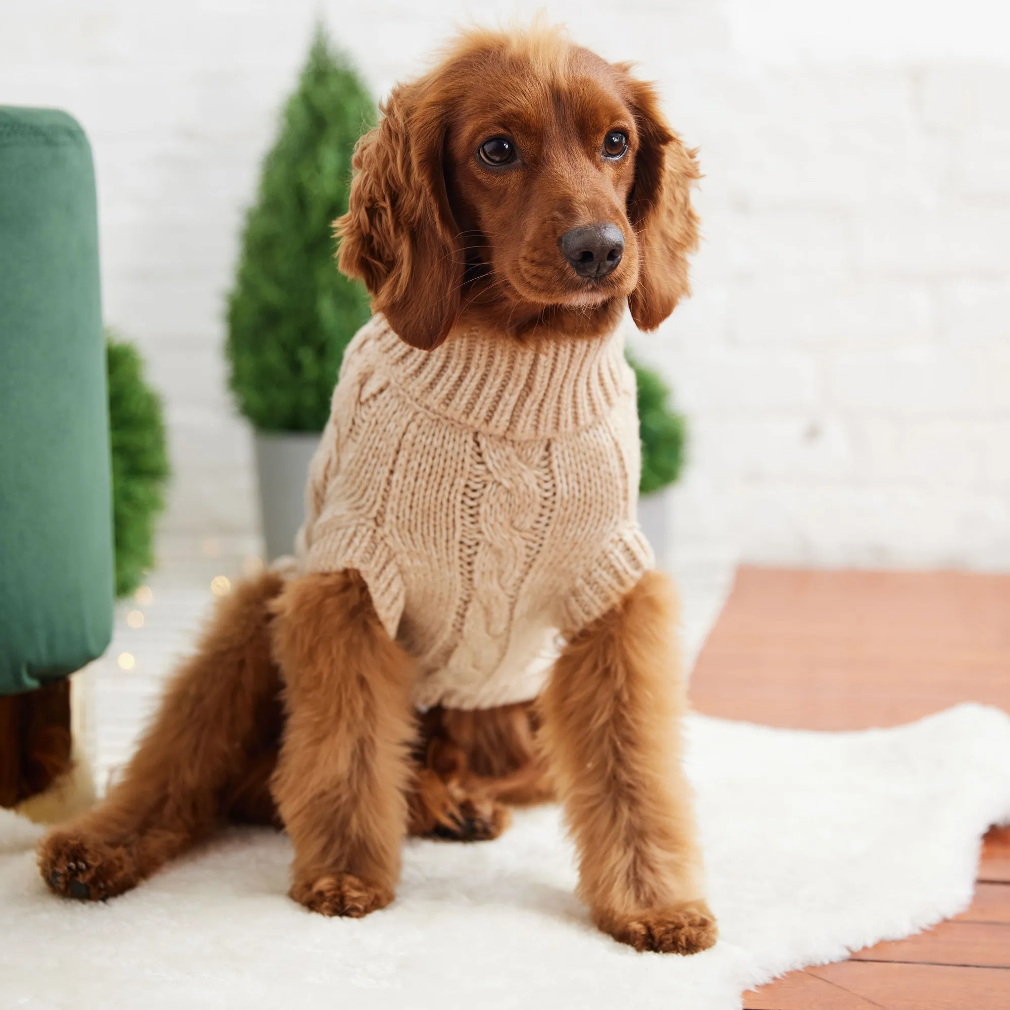 Chalet Dog Winter Sweater