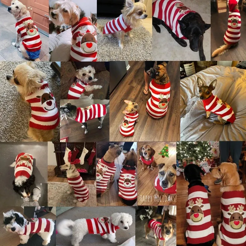 Christmas Striped Dog Knitted Sweater