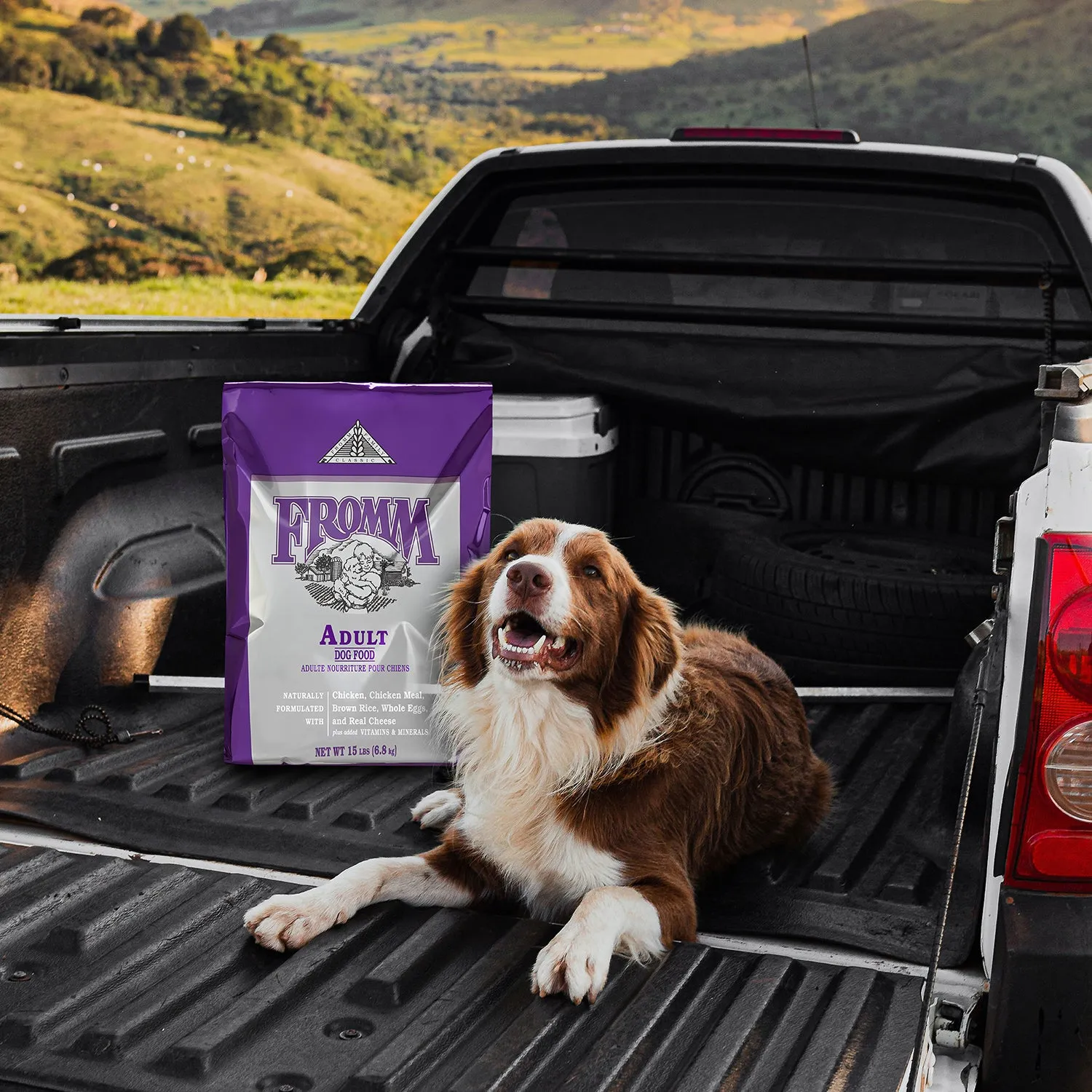 Classic Adult Dry Dog Food - (15lb & 30lb)