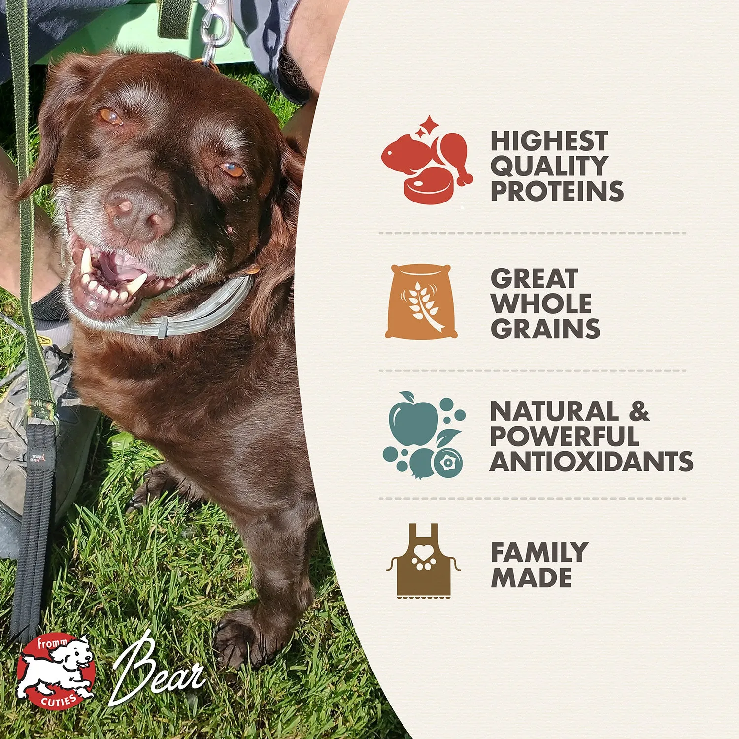 Classic Adult Dry Dog Food - (15lb & 30lb)