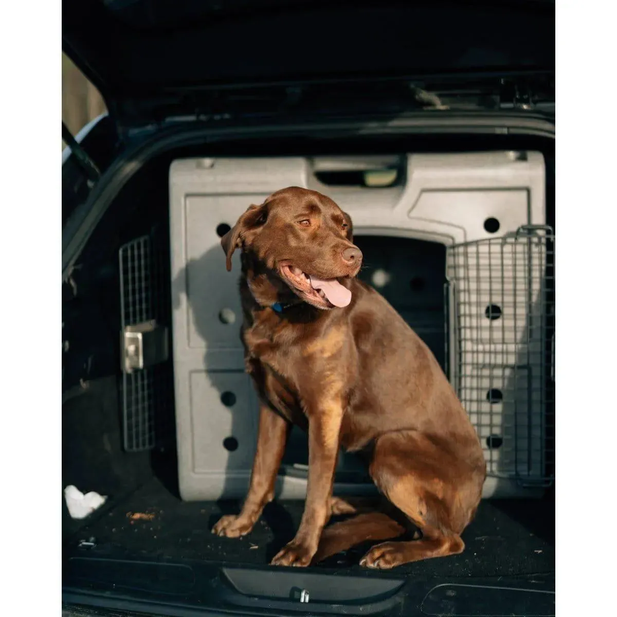Dakota 283 2D Side Entry Kennel