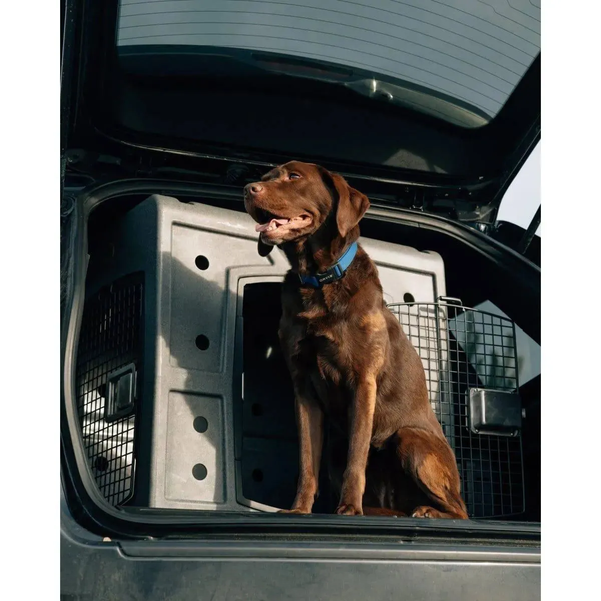 Dakota 283 2D Side Entry Kennel