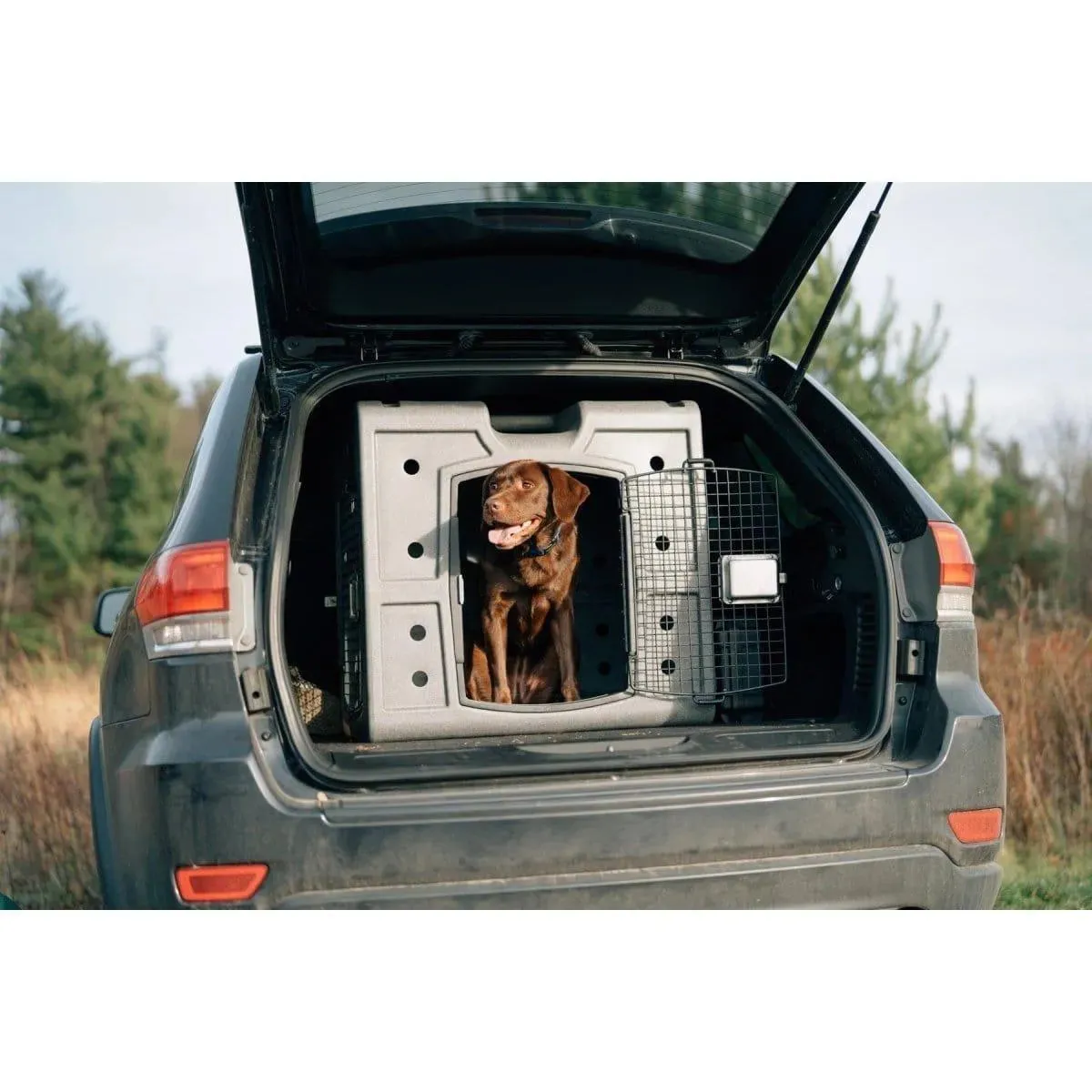 Dakota 283 2D Side Entry Kennel