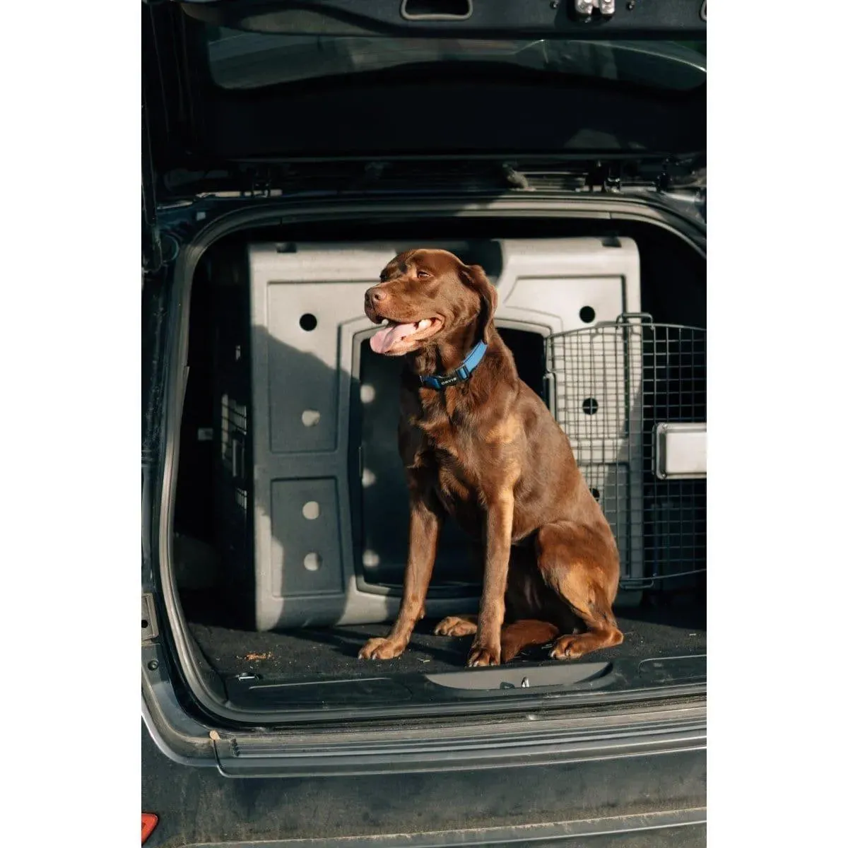 Dakota 283 2D Side Entry Kennel