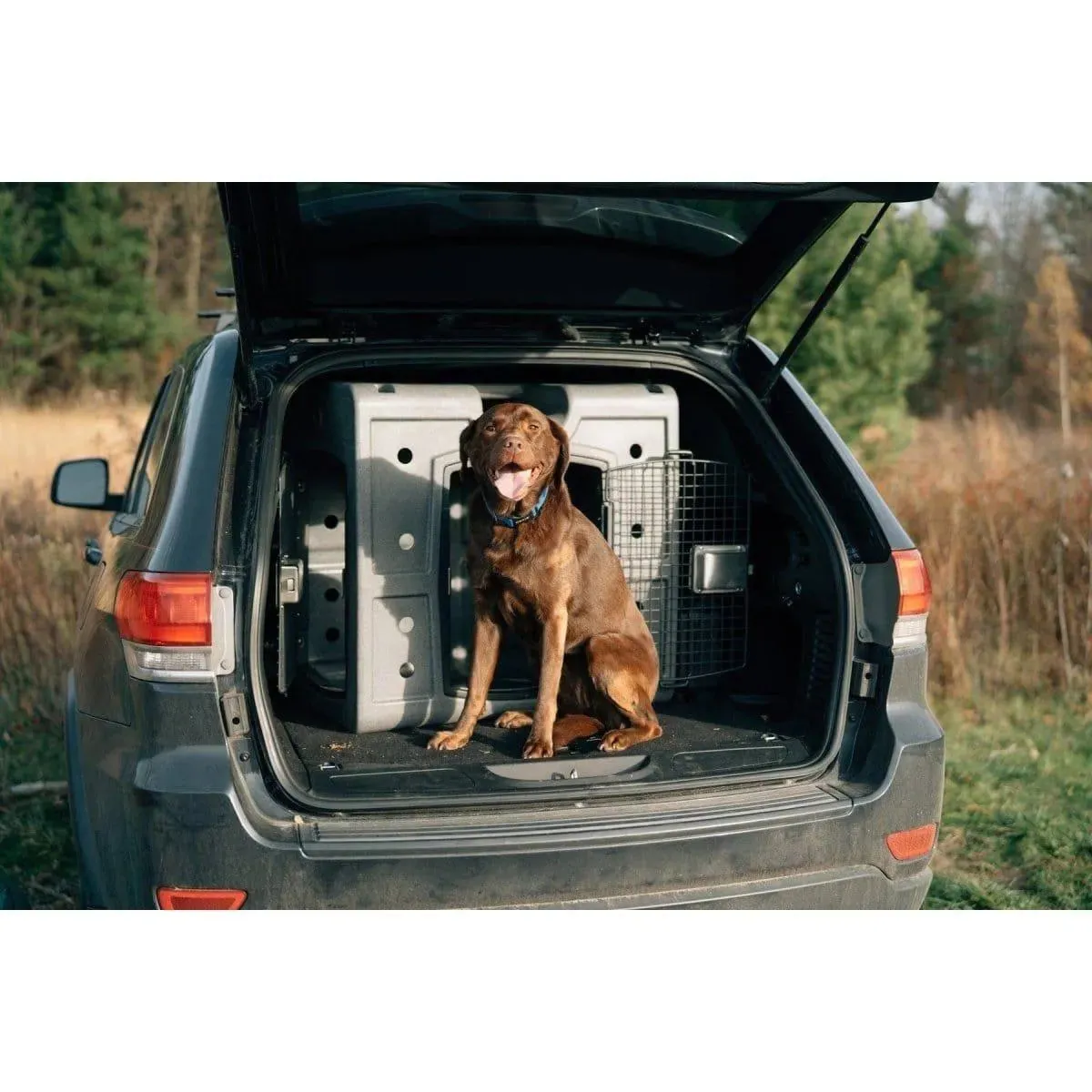 Dakota 283 2D Side Entry Kennel