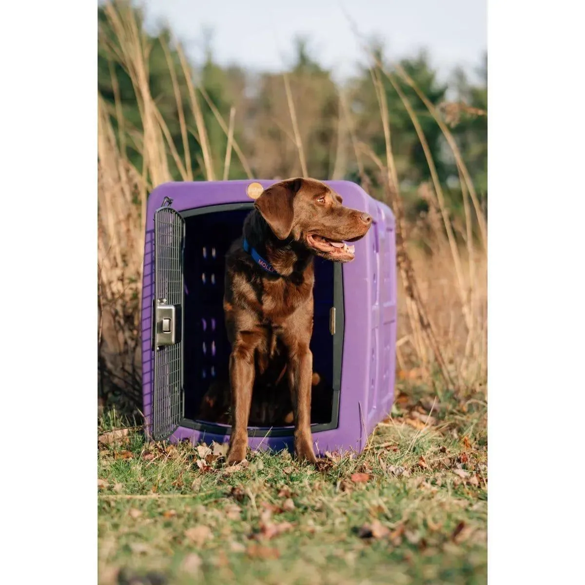 Dakota 283 G3 Medium Framed Kennel