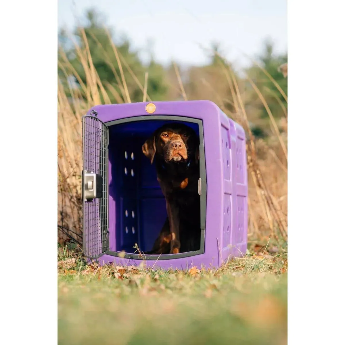 Dakota 283 G3 Medium Framed Kennel