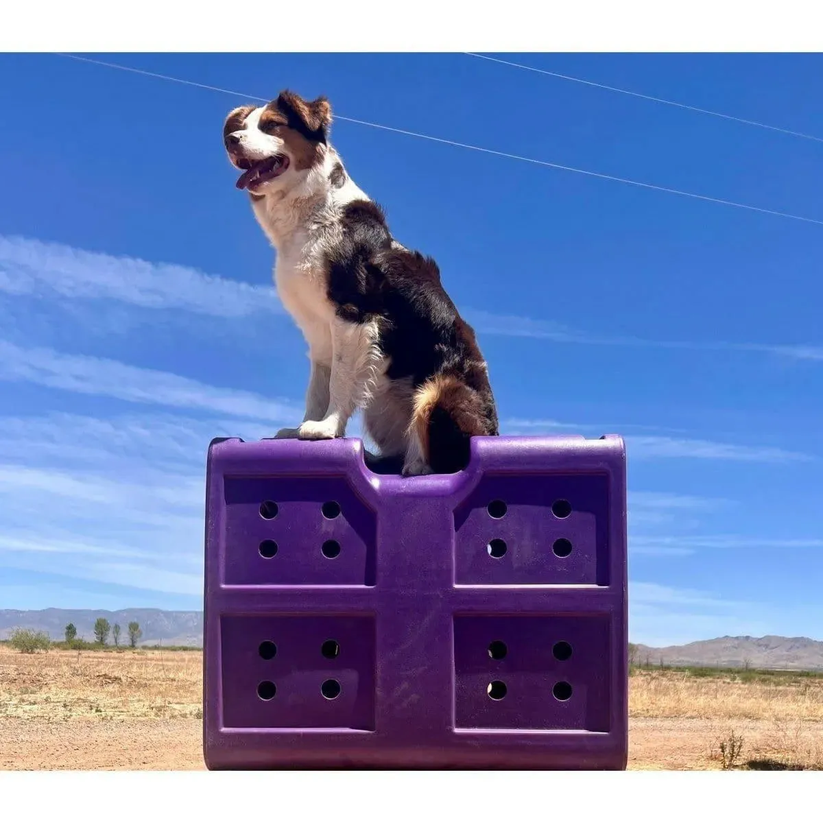 Dakota 283 G3 Medium Framed Kennel