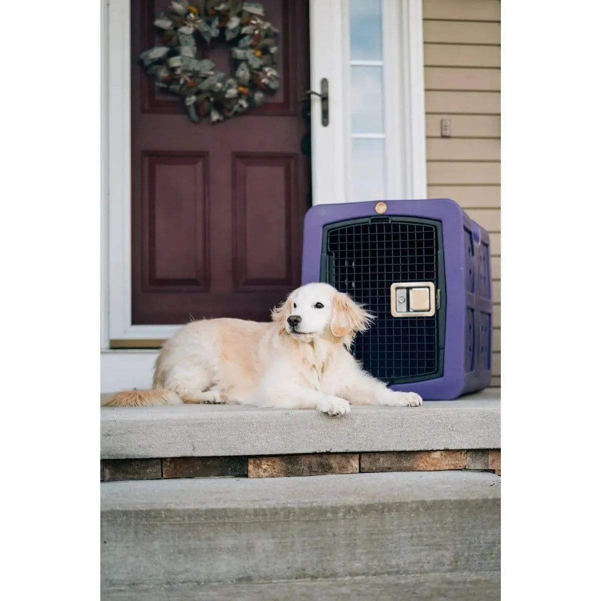 Dakota 283 G3 Medium Framed Kennel