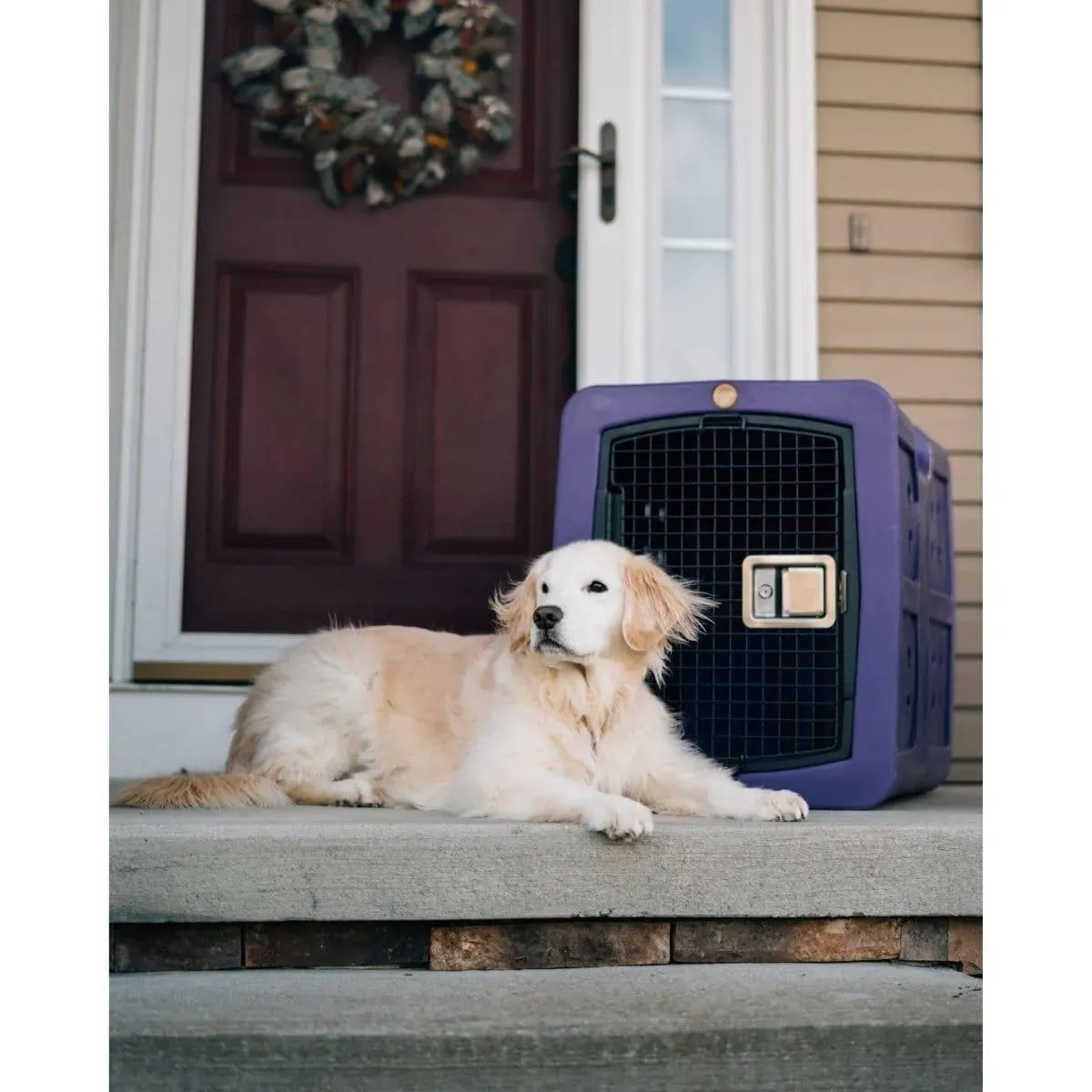 Dakota 283 G3 Medium Framed Kennel