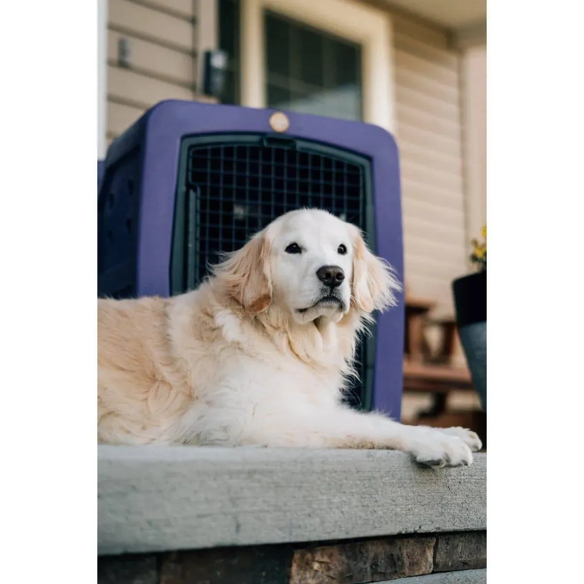Dakota 283 G3 Medium Framed Kennel