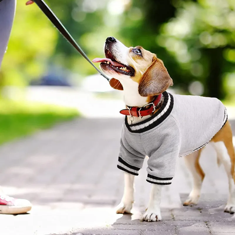 Dog Pullover Sweater For Cold Weather Outfit