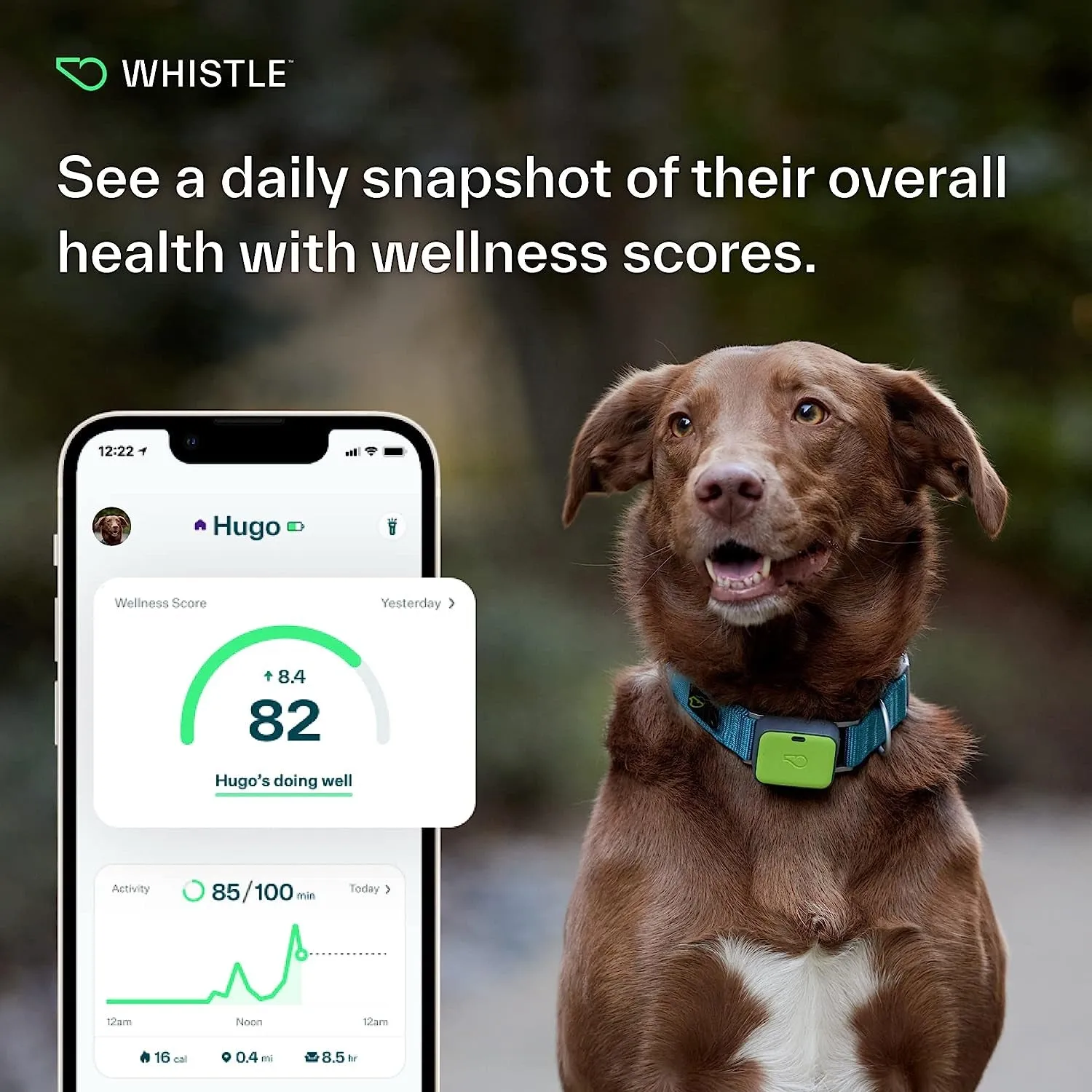 GPS   Health   Fitness - Ultimate Dog GPS Tracker plus Dog Health & Fitness Monitor, Waterproof, Safe Place Escape Alerts, Built-In Night Light,Fits on Dog Collar, GO Explore, Grey