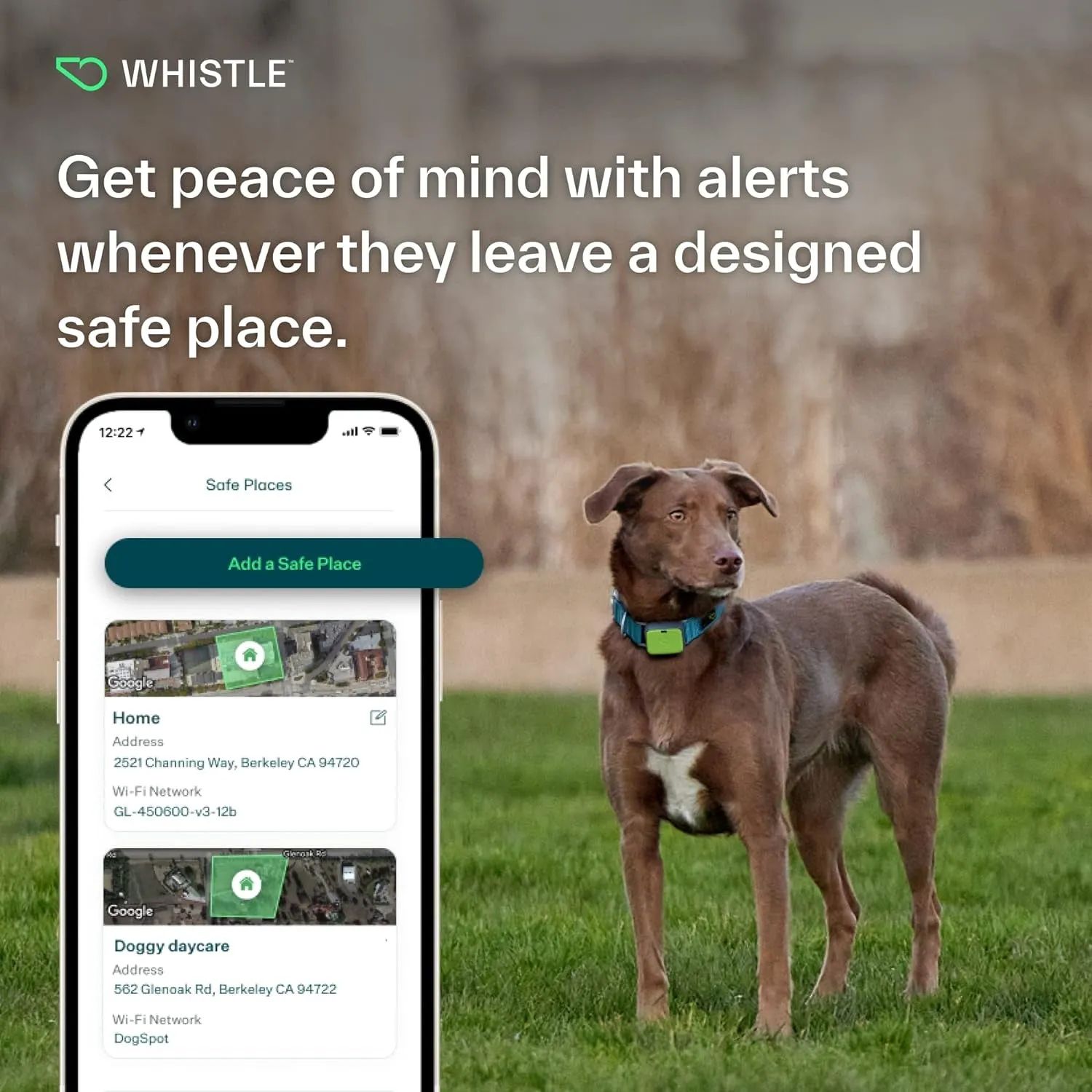 GPS   Health   Fitness - Ultimate Dog GPS Tracker plus Dog Health & Fitness Monitor, Waterproof, Safe Place Escape Alerts, Built-In Night Light,Fits on Dog Collar, GO Explore, Grey