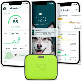 GPS   Health   Fitness - Ultimate Dog GPS Tracker plus Dog Health & Fitness Monitor, Waterproof, Safe Place Escape Alerts, Built-In Night Light,Fits on Dog Collar, GO Explore, Grey