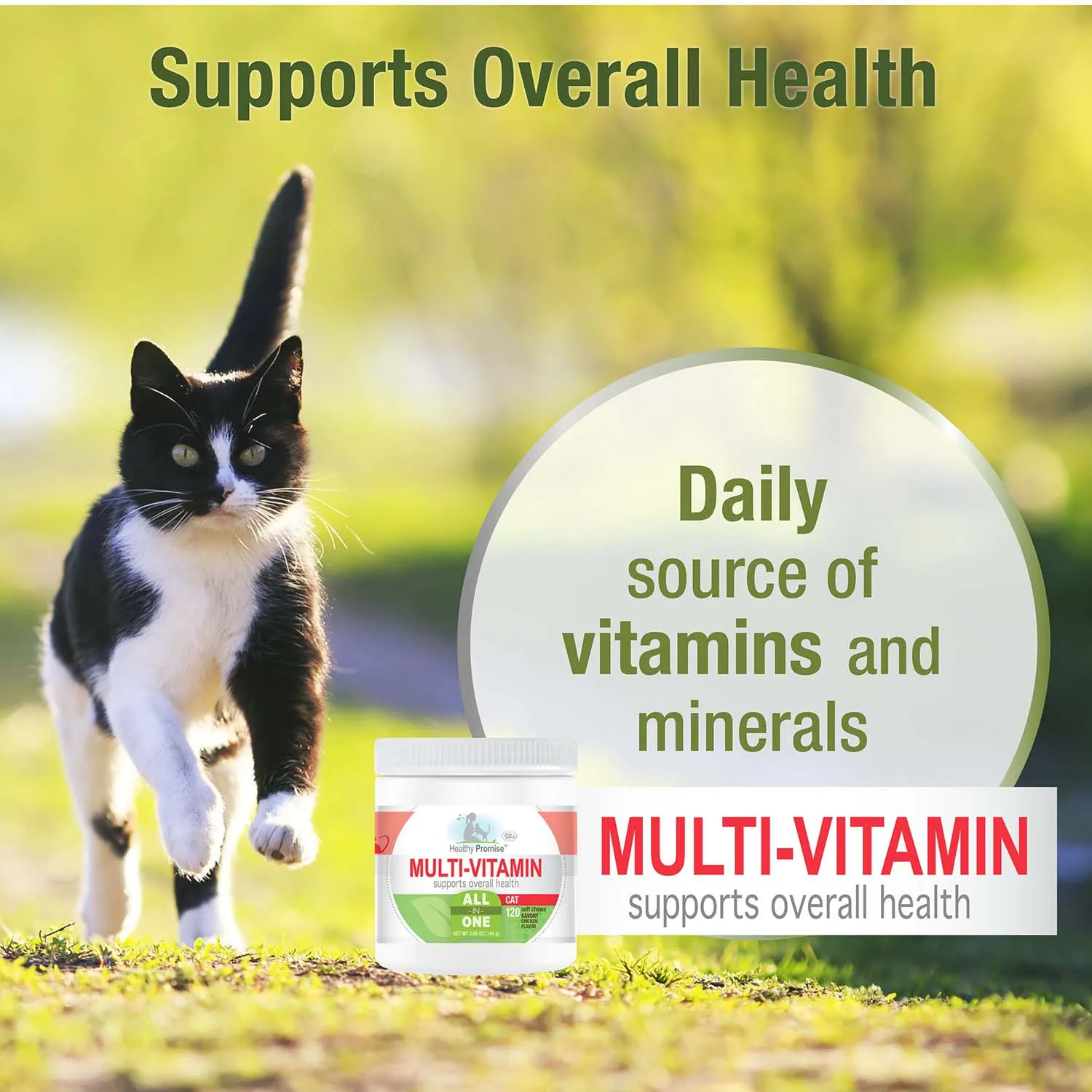 Healthy Promise Multi-Vitamins For Cats, Savory Chicken, 120 ct