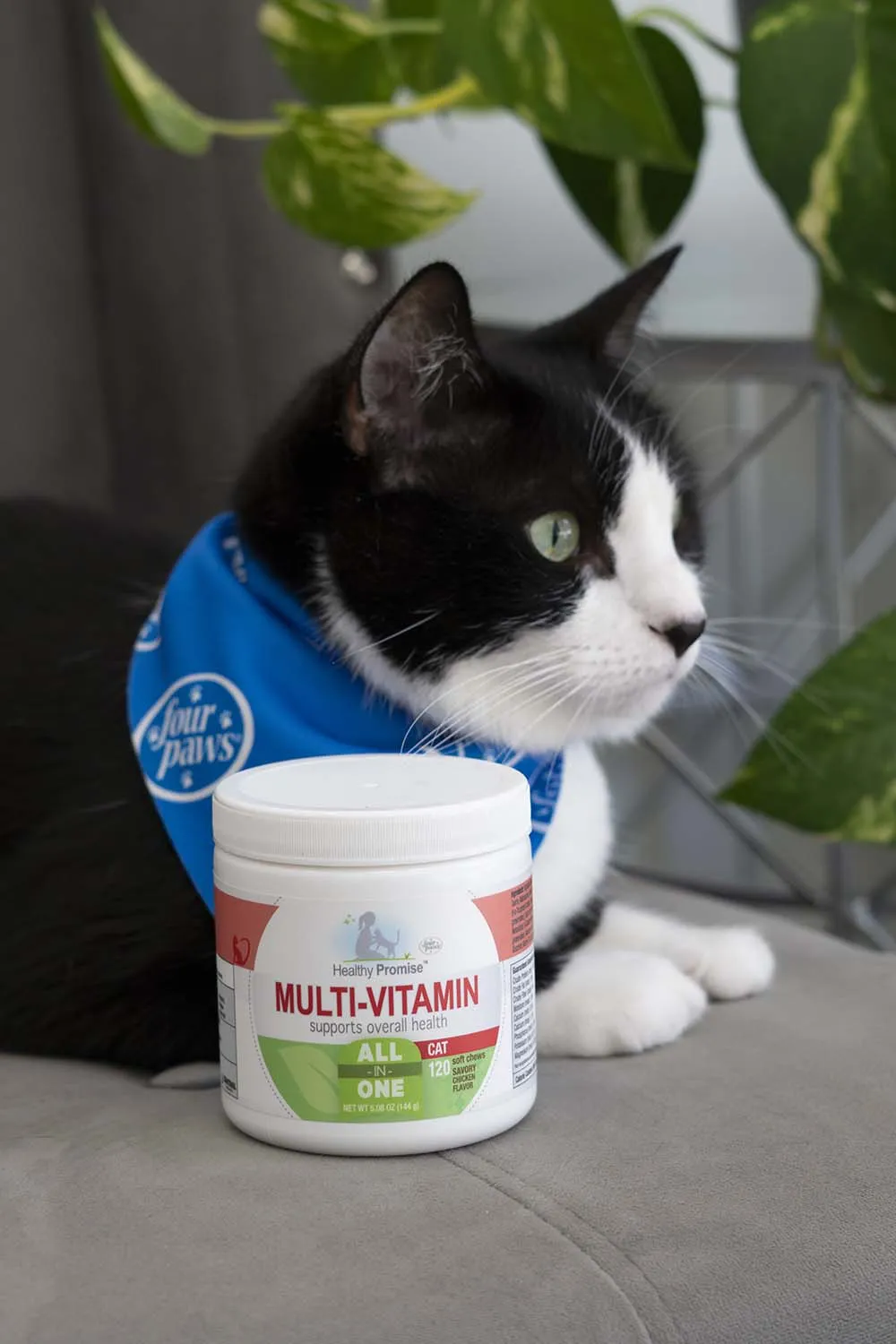 Healthy Promise Multi-Vitamins For Cats, Savory Chicken, 120 ct