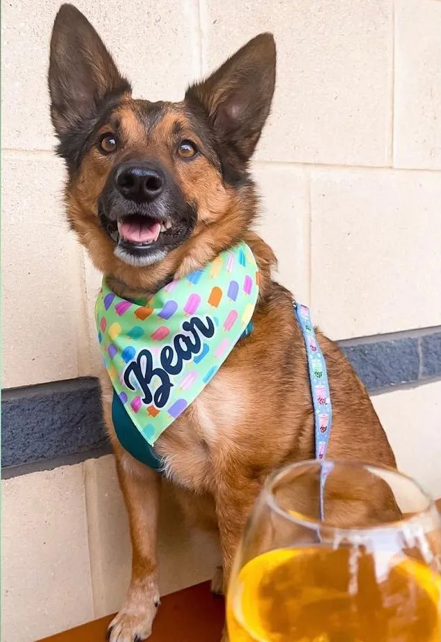 Ice Pops Cooling Bandana