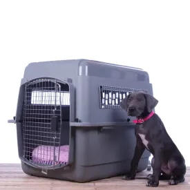 Jeffers Sky Kennel Travel Pet Kennel with Food & Water Bowls Included