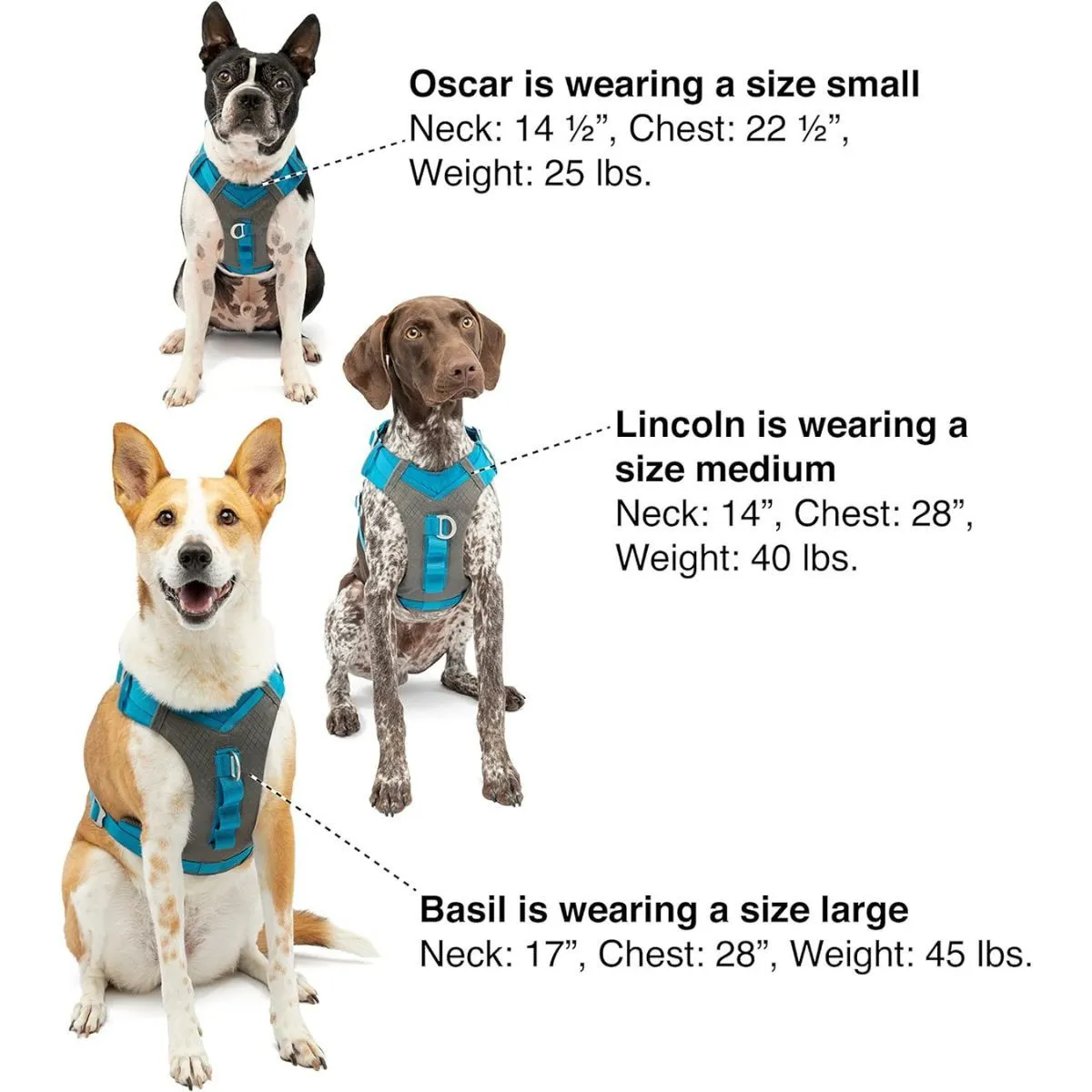 Kurgo Journey Air Dog Harness Coral Large
