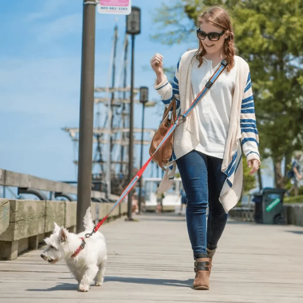 Kurgo Quantum 6 in 1 Dog Leash (Barn Red)