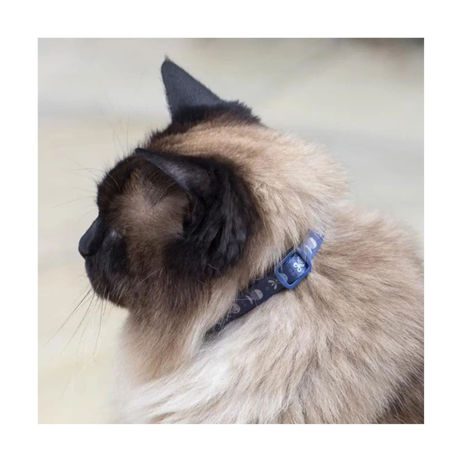 La Doggie Vita Go Fish Indigo and Taupe Cat Collar