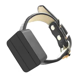 Mini GPS Tracker For Dogs Personal Locator Anti-Lost Animal Trackers Online Free Website App