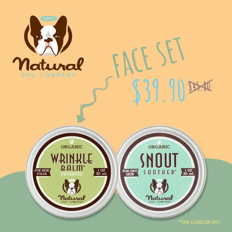 Natural Dog Company Snout Soother Organic Healing Balm (3 sizes)