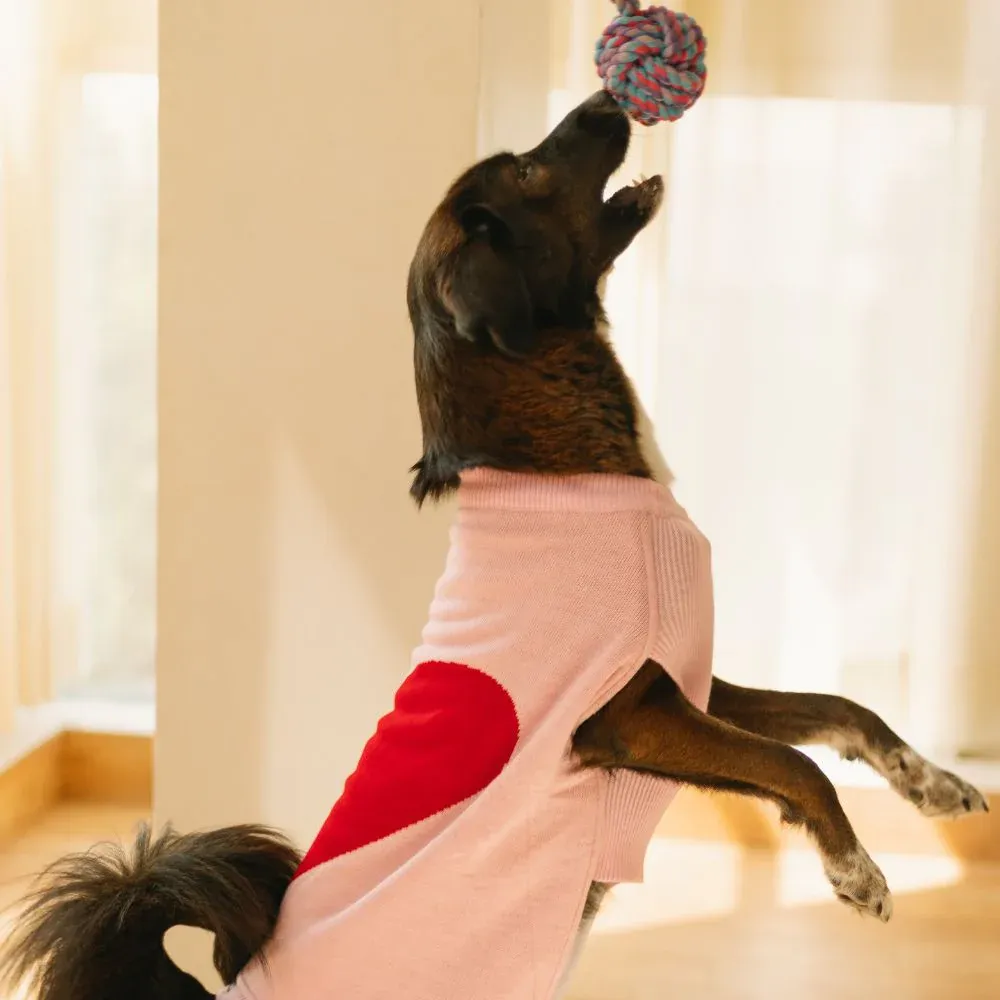 Pet Set Go Ira’s Sweater for Dogs and Cats (Red & Pink)