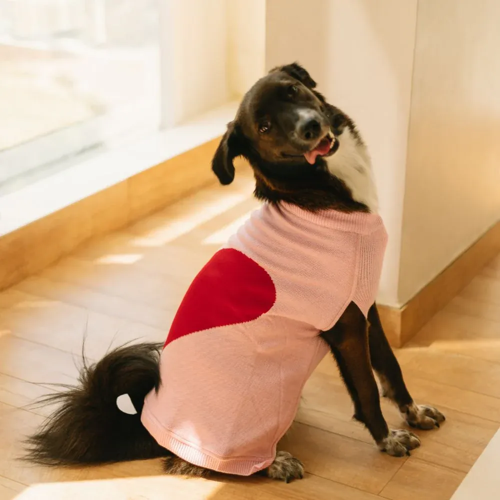 Pet Set Go Ira’s Sweater for Dogs and Cats (Red & Pink)