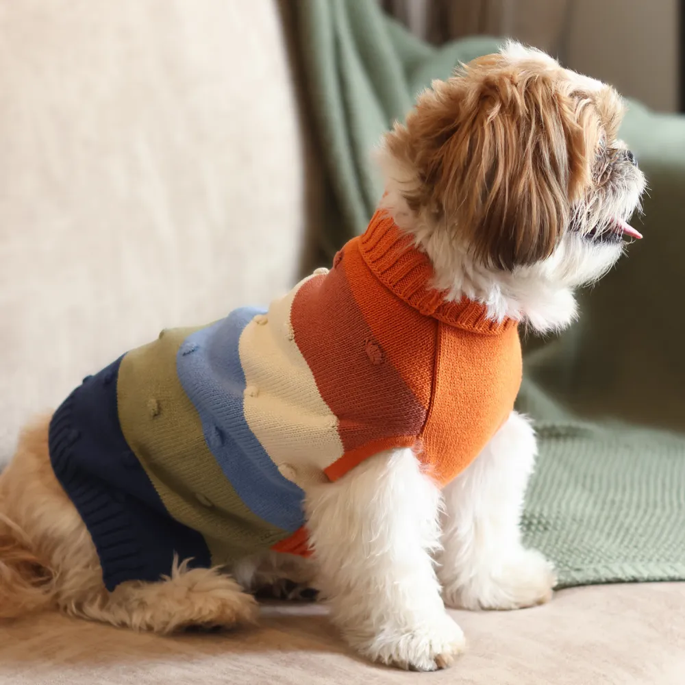 Pet Set Go Multi Coloured Sweater for Dogs