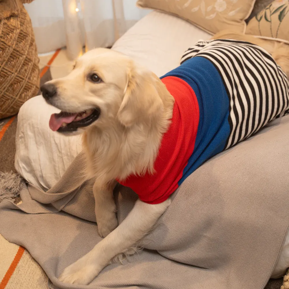 Pet Set Go Striped Sweater for Dogs (Red/Blue)