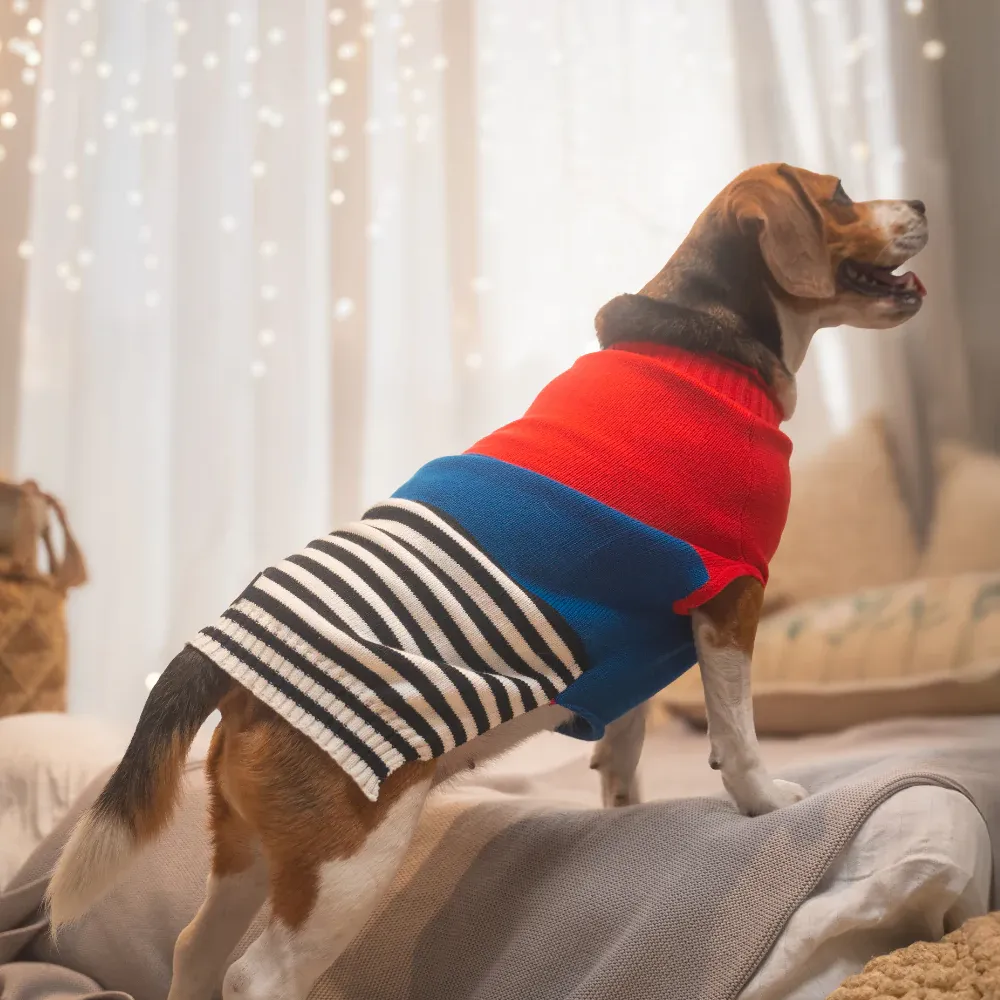 Pet Set Go Striped Sweater for Dogs (Red/Blue)