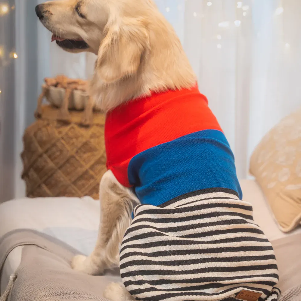 Pet Set Go Striped Sweater for Dogs (Red/Blue)