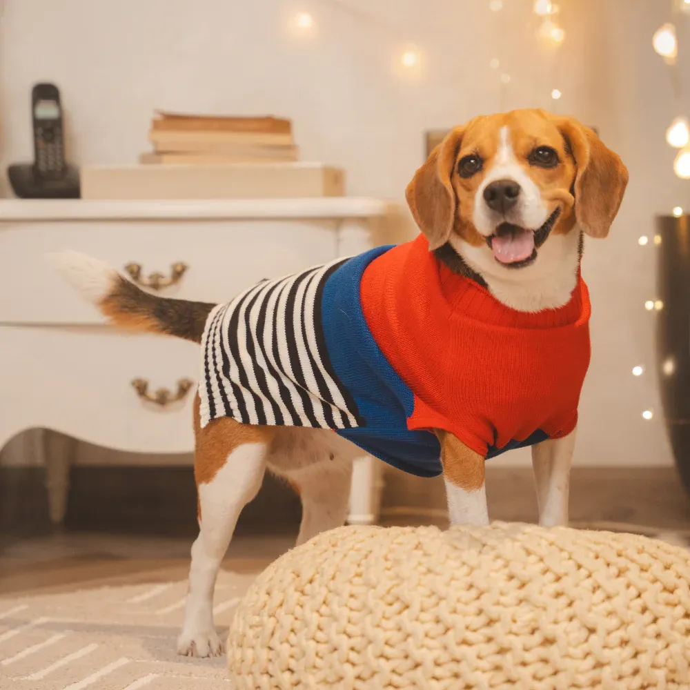 Pet Set Go Striped Sweater for Dogs (Red/Blue)