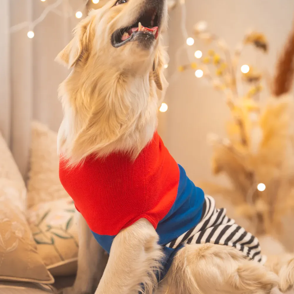 Pet Set Go Striped Sweater for Dogs (Red/Blue)