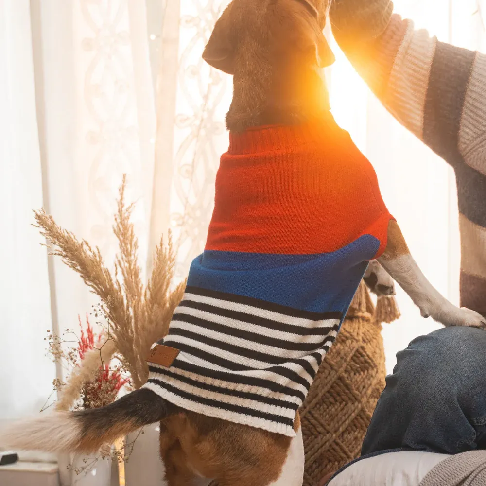Pet Set Go Striped Sweater for Dogs (Red/Blue)