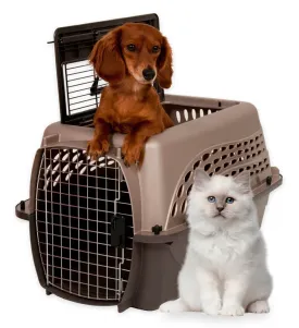 Petmate 2 Door Top Load Dog Kennel - Metallic Pearl Tan, Coffee Grounds - 24 in