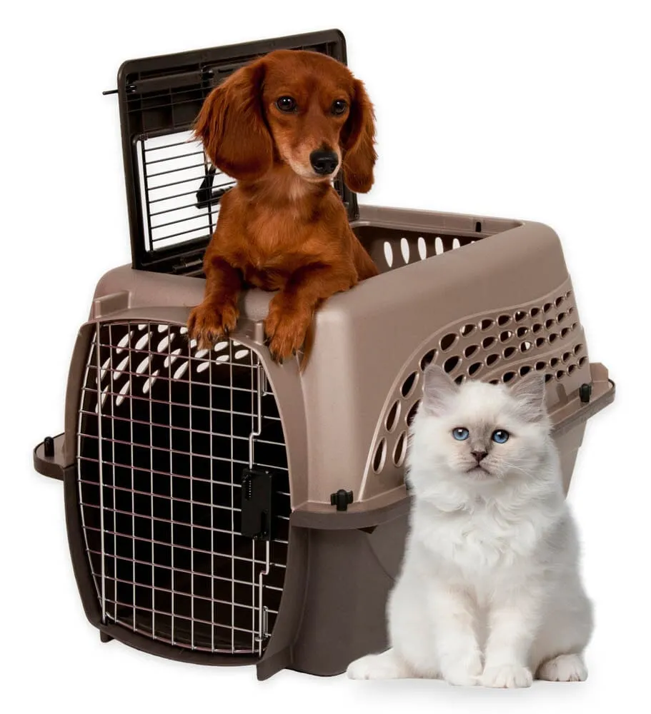 Petmate 2 Door Top Load Dog Kennel - Metallic Pearl Tan, Coffee Grounds - 24 in