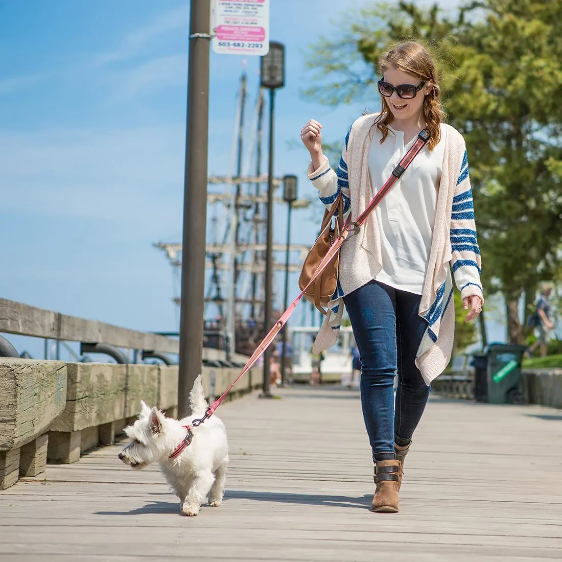 Quantum 6-in-1 Dog Lead