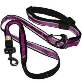 Quantum 6-in-1 Dog Lead