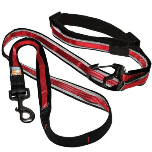 Quantum 6-in-1 Dog Lead