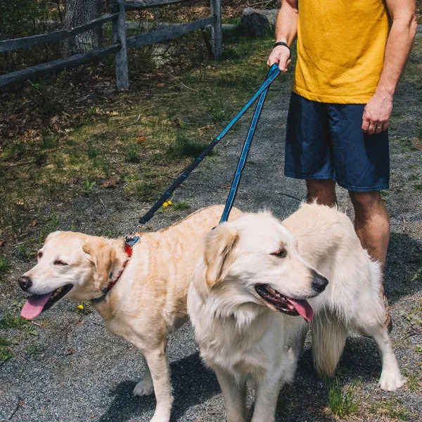 Quantum 6-in-1 Dog Lead