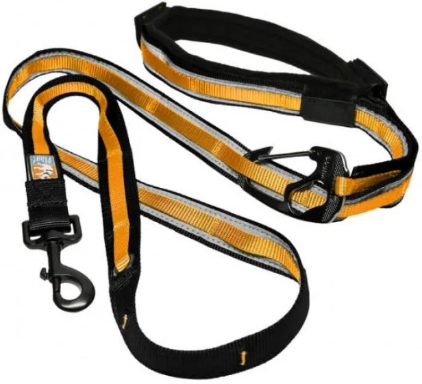Quantum 6-in-1 Dog Lead
